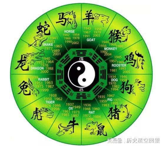 今日生肖鼠运势，智慧与机遇并存，宜把握时机