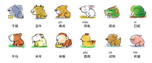 生肖鼠今日运势解析，男生版，揭秘你的每日好运之道！