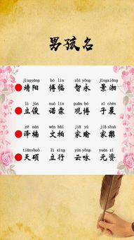 女宝宝取名雅洁，寓意美好，音韵优美，彰显气质