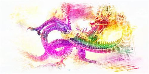 龙虎情深，揭秘龙和虎的感情运势