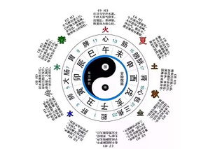 八字排盘合婚，哪个工具才是你的最佳伴侣？