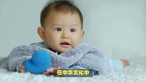 龙宝宝单姓名字取名的奥秘，你了解多少？