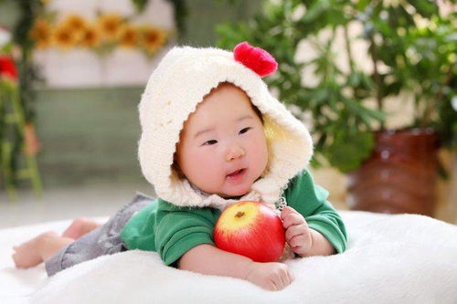 宝宝名字苏陈如何取一个寓意美好的男孩名？