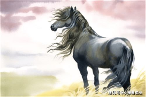 八月马感情运势如何？揭秘生肖马的恋爱秘籍！