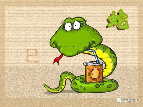属蛇与何种八字最合婚？揭秘八字匹配的神秘法则