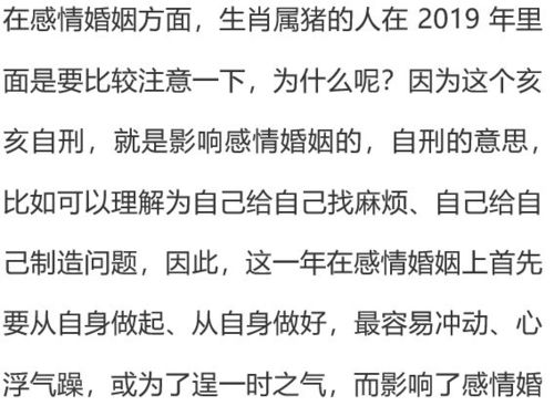 辛金在癸亥月，感情运势究竟如何？是喜是忧，揭秘你的爱情密码！