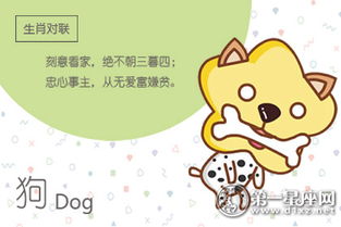 属狗女与属鼠男八字合婚，真的合适吗？