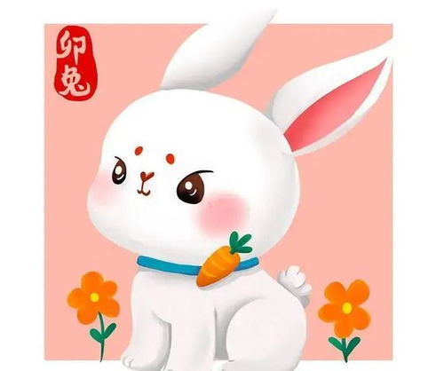 63年兔近期运势揭秘，运势起伏，如何把握关键期？