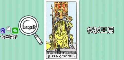 权杖一正位，近期运势有何预示？揭秘塔罗牌的神秘指引