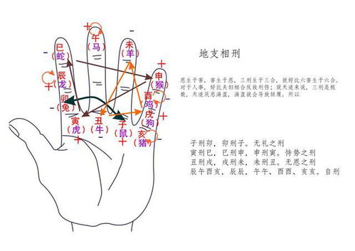 八字合婚，真能预知生男生女？揭秘这一神秘传统
