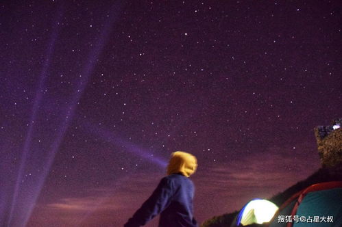 苏珊米勒2022星座运势揭秘，哪些星座将迎来运势高峰，哪些星座需谨慎应对？