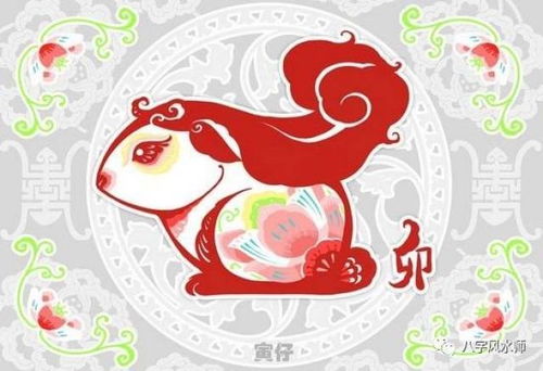 属兔的运势近期如何？揭秘生肖兔的最新运势走向！