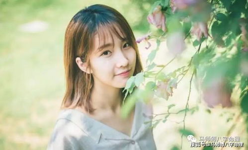 李沁八字合婚？揭秘知乎小说中的神秘八字合婚之谜