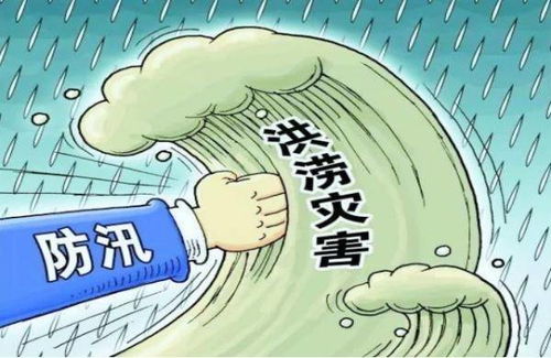 2024鸡年今日运势揭秘，运势起伏不定，你该如何应对？