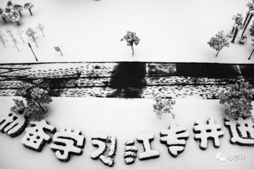 每日运势水墨先生，揭秘水墨先生每日运势的神秘面纱，你准备好了吗？