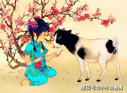 属相羊的感情运势究竟如何？揭秘生肖羊的爱情走向！