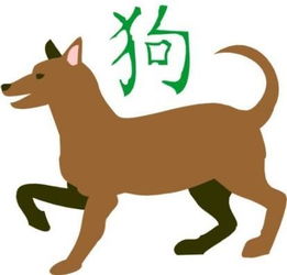 属马属狗今日运势揭秘，运势起伏，如何把握关键点？