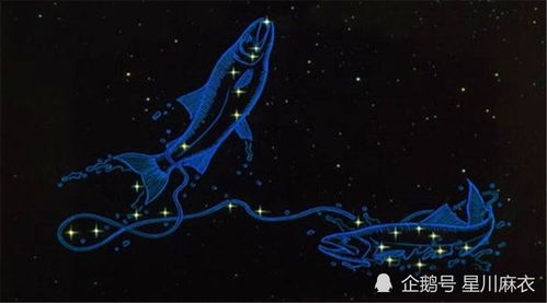 双鱼7月运势揭秘，感情波折还是甜蜜升温？