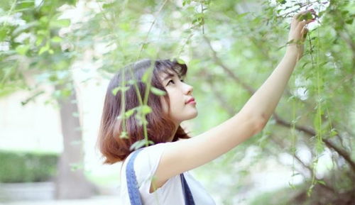 5月运势揭秘，水平座女，你的感情路将如何起伏？