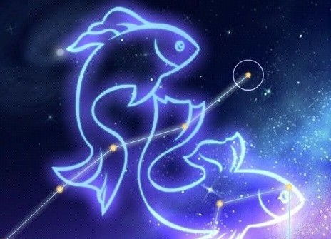 双鱼座明星感情运势图表揭秘，星座魅力下的爱情轨迹