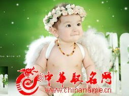 龙年宝宝取名，马姓宝宝如何取一个既吉祥又响亮的名字？
