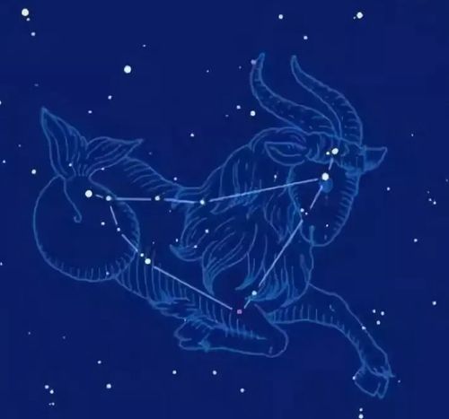 今日星运揭秘，摩羯座女士，你的运势有何特别之处？