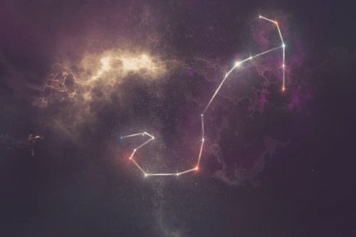 11月24日出生的星座男阳历揭秘，他是哪个星座的神秘魅力？