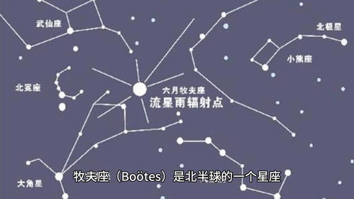 12月28日究竟是什么星座？揭秘农历与星座的神秘关系！