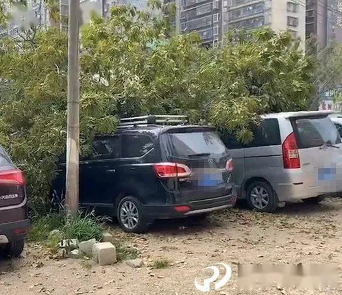 普宁多少辆汽车