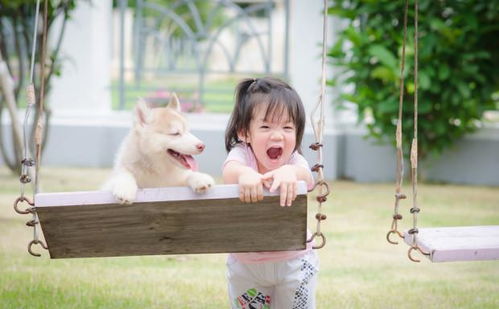 虎宝宝女孩艺涵如何取名，寓意美好且独特？