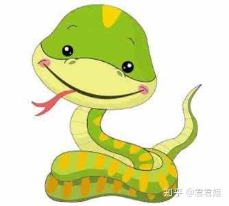 蛇鼠今日财运运势如何？揭秘生肖运势背后的秘密！