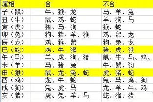 八字天干合婚配对表全解，揭秘八字天干如何决定你的姻缘