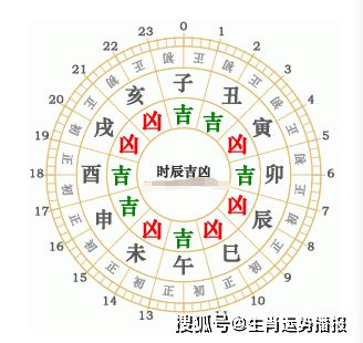 生肖配对打分，揭秘十二生肖间的爱情指数，你与另一半匹配度几何？