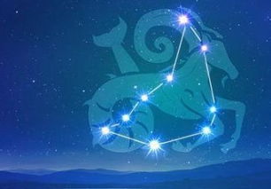摩羯座最配的星座是哪个？揭秘摩羯座的最佳伴侣！