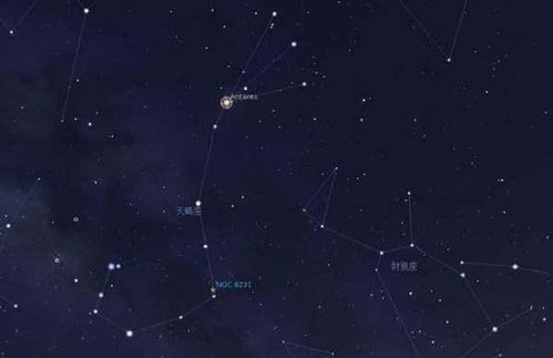 唯一能读懂金牛的星座，究竟是谁？