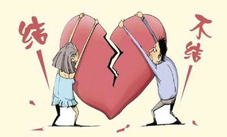 属相八字合婚，迷信还是科学？揭秘其背后的真相！