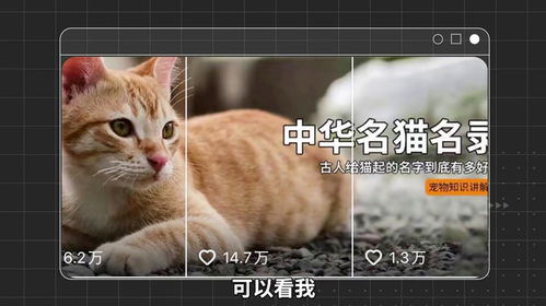 龙宝宝取名，羽字怎么取？这些技巧你一定要知道！