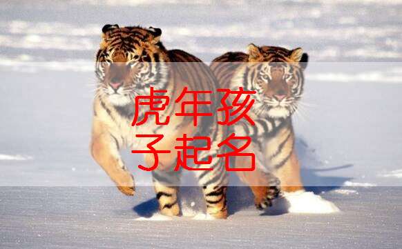 虎宝宝取名，姓汪该如何巧妙搭配？