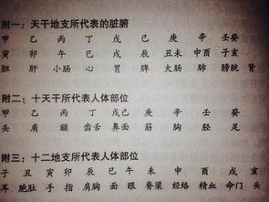 合婚看生辰八字究竟该如何书写？