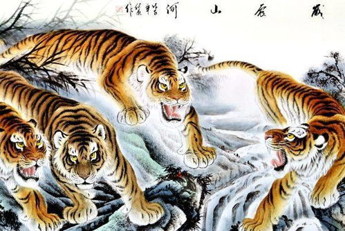 虎在未来运势和感情上会有怎样的变化？
