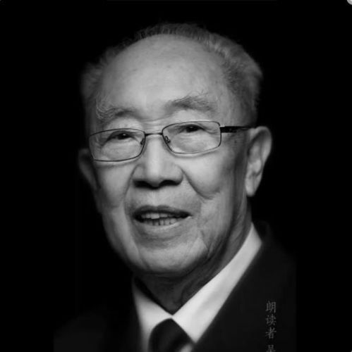 叶黄虎宝宝，该如何为这个独特的小生命起一个美好的名字？