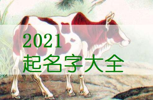 牛宝宝用杰字取名，有哪些创意好名字推荐？