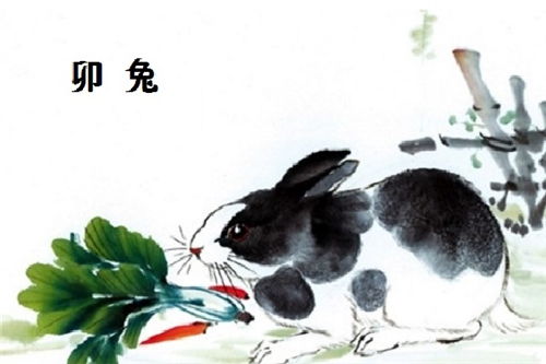 99年属兔男性在爱情路上的运势之谜，究竟何去何从？