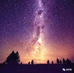探寻星空之谜，牛郎星究竟属于哪个星座？