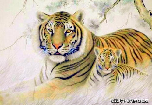 属虎天秤今日运势揭秘，揭秘双生肖的今日运势走向！