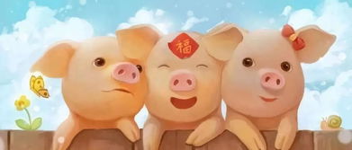 姓龙属猪的宝宝取名有何讲究？如何取一个吉祥好听的名字？