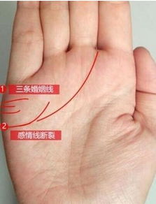 我该如何解读手中的爱情线？手相感情运势之谜大揭秘