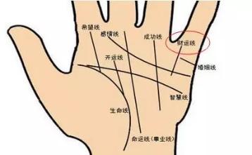掌纹看近期运势，真的准吗？揭秘掌纹解读的奥秘与争议