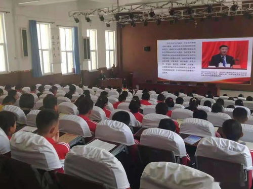 谷兔宝宝取名，真的好吗？揭秘取名背后的故事与注意事项