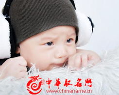 年末兔年男宝宝取名，有哪些讲究和技巧？
